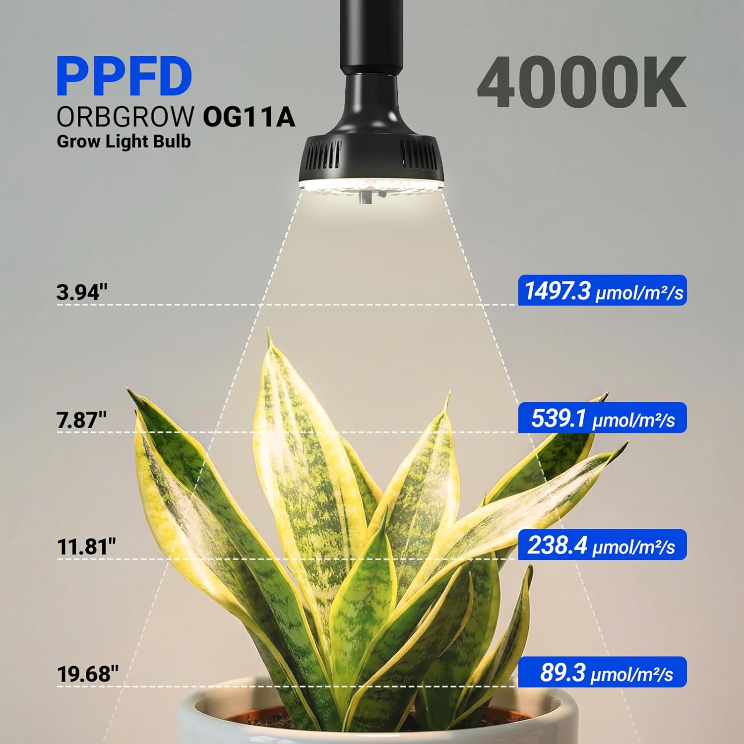 Barrina OG11A Grow Light Bulbs for Indoor Plant, 4000K 11W, 4 Packs, Black | Integrated Dimming & Timing, E26 Plant