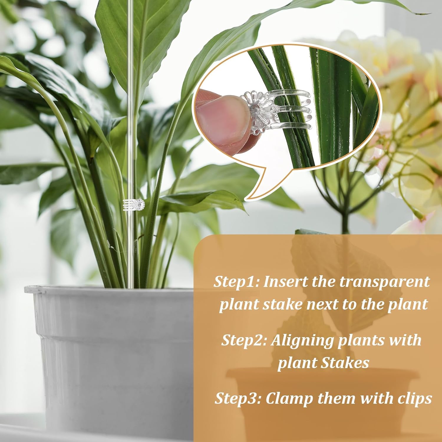 60 Pcs Clear Acrylic Plant Support Stakes with 60 Clips 15.8 & 11 Inch Reusable Plant Holder Stick Garden Stakes for