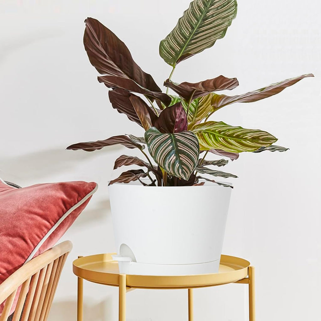 SwinDuck 12inch Large Self Watering Plant Pot, Plastic Cylinder Planter with 60Oz Deep Reservoir and Saucer for Indoor