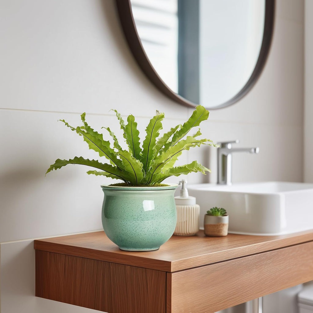 Ceramic Self Watering Pots, 6 Inch African Violet Pots with Absorbent Inner Pot, Round Self Watering Planter for Indoor