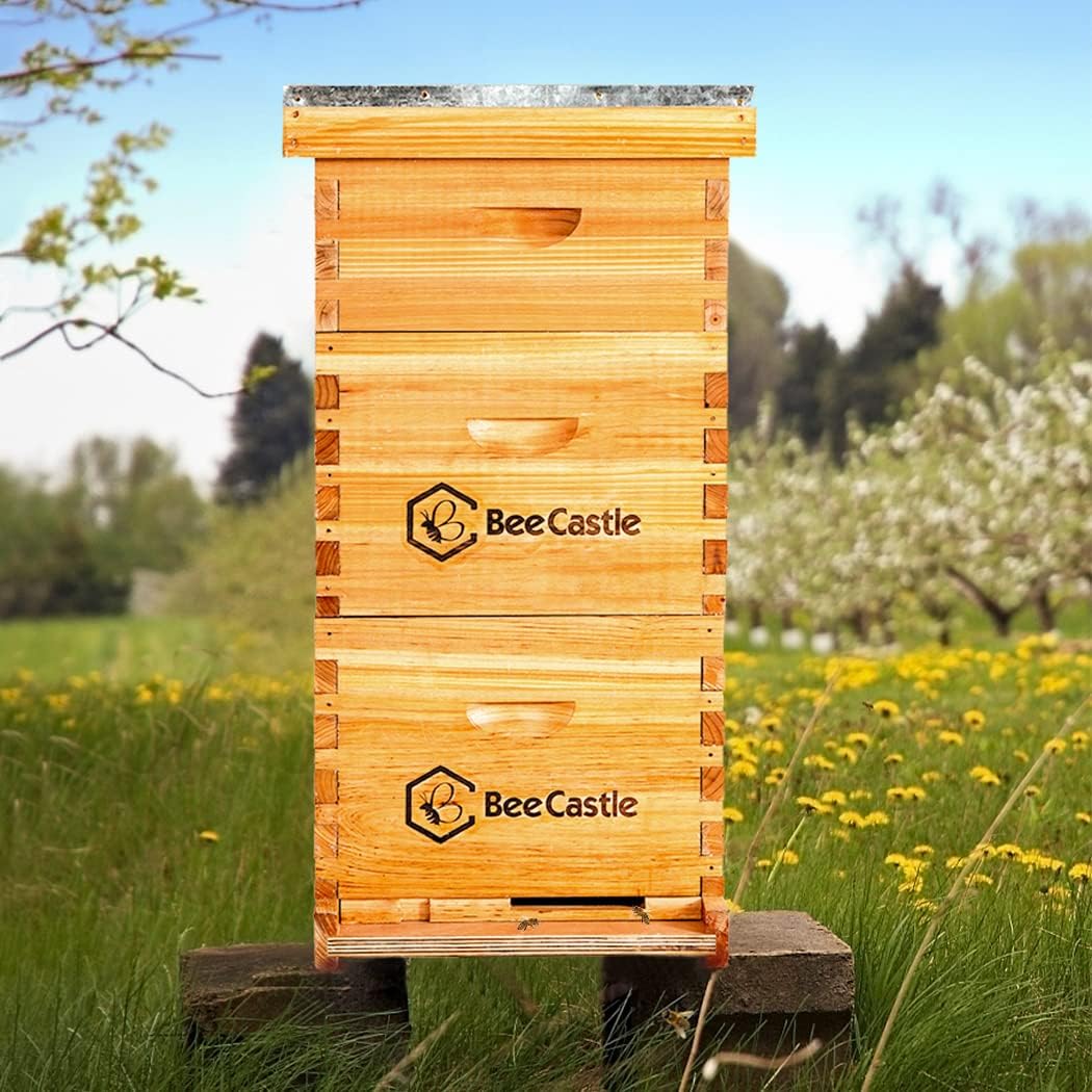 BeeCastle 8 Frame Langstroth Bee Hive Coated with Beeswax Includes Beehive Frames and Waxed Foundations (2 Deep Boxes &