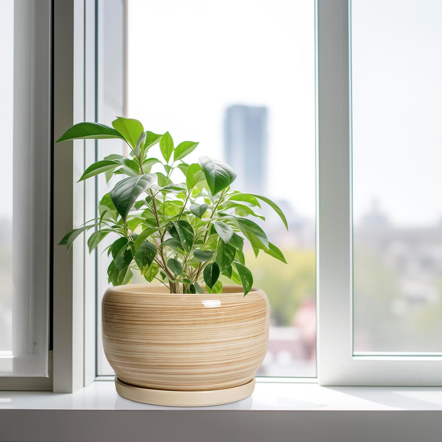 SQOWL Ceramic Plant Pot - 10 Inch Large Planter with Drainage Hole and Saucer, Round Modern Planter for Indoor Plant