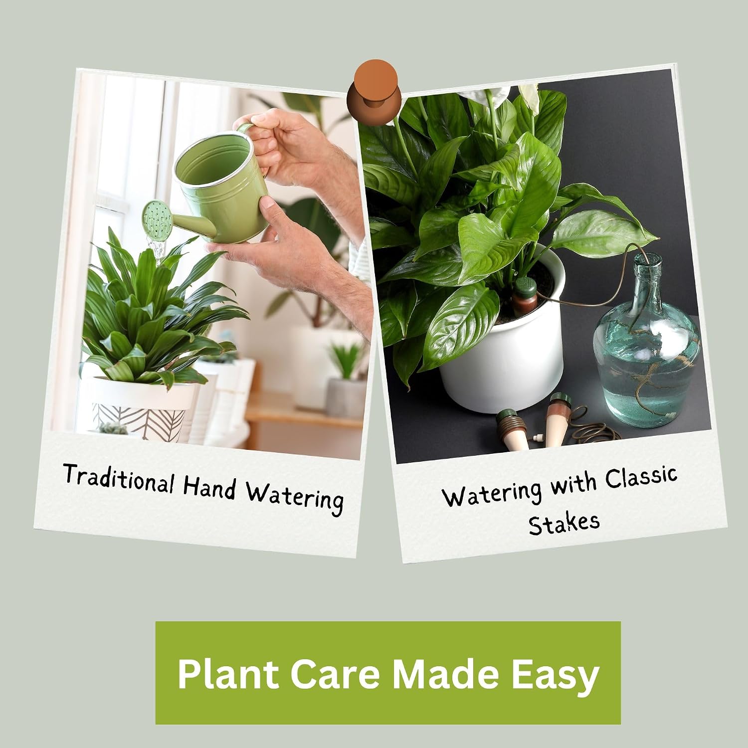 Blumat Classic Self-Watering Stakes - Prevents Overwatering and Underwatering for Healthy Growth While You are Away