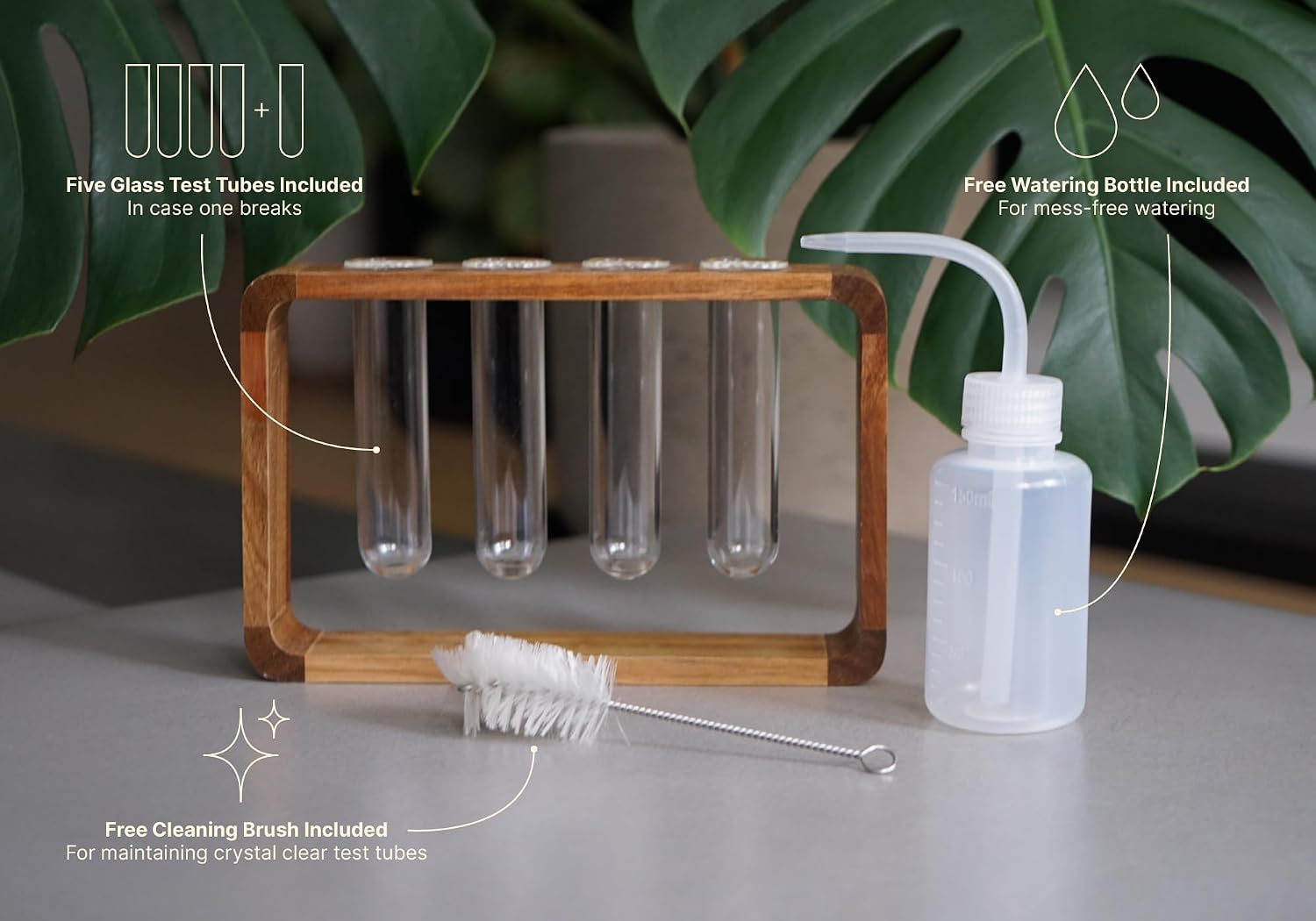 Source & Plot Plant Propagation Station - Acacia Wood Stand with 4 Glass Test Tubes, Tabletop Hydroponic Terrarium