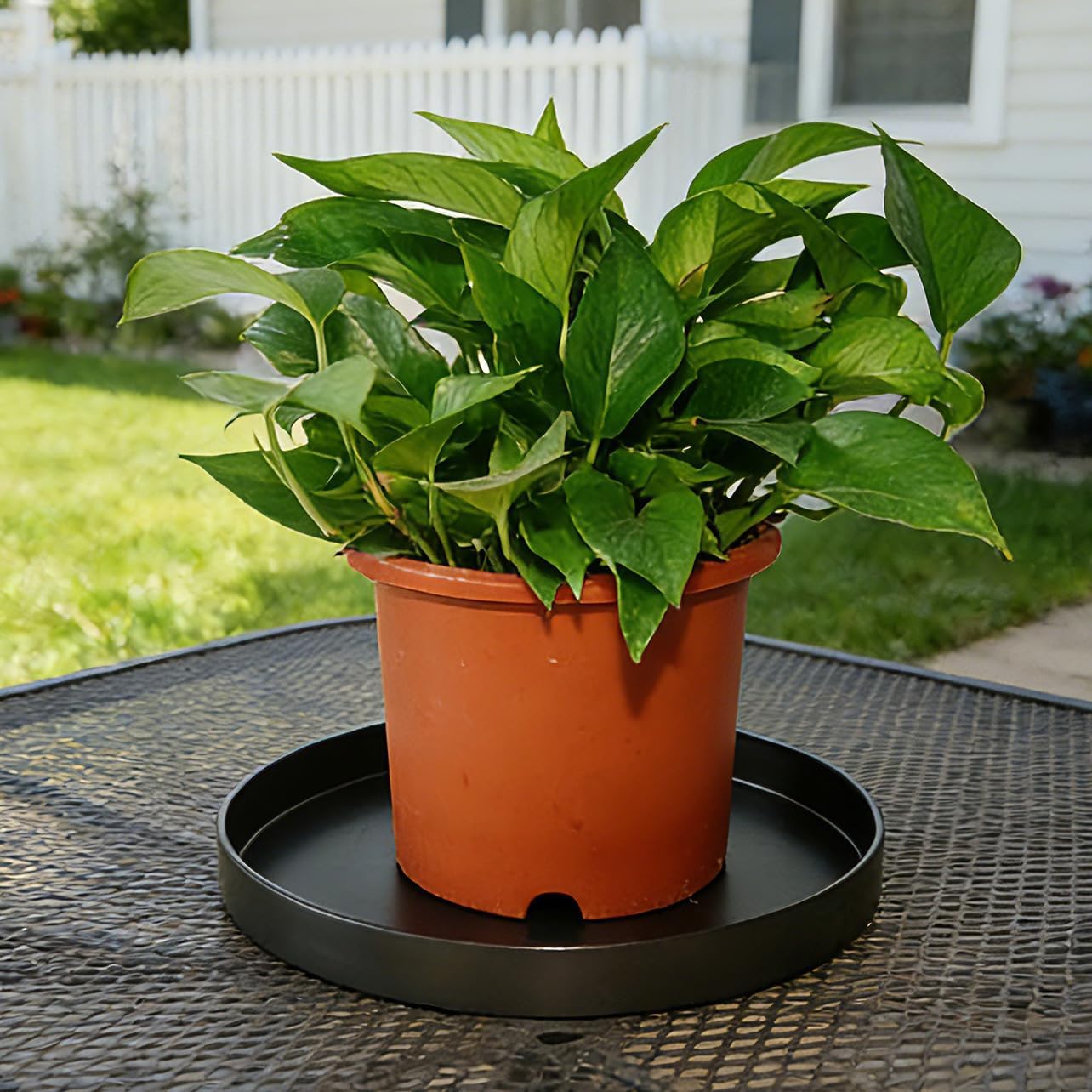1 Pack 16 inch Plant Saucer Drip Tray, Heavy Sturdy Plastic Planter Flower Pot Drainage Tray Plate Saucers for Indoor