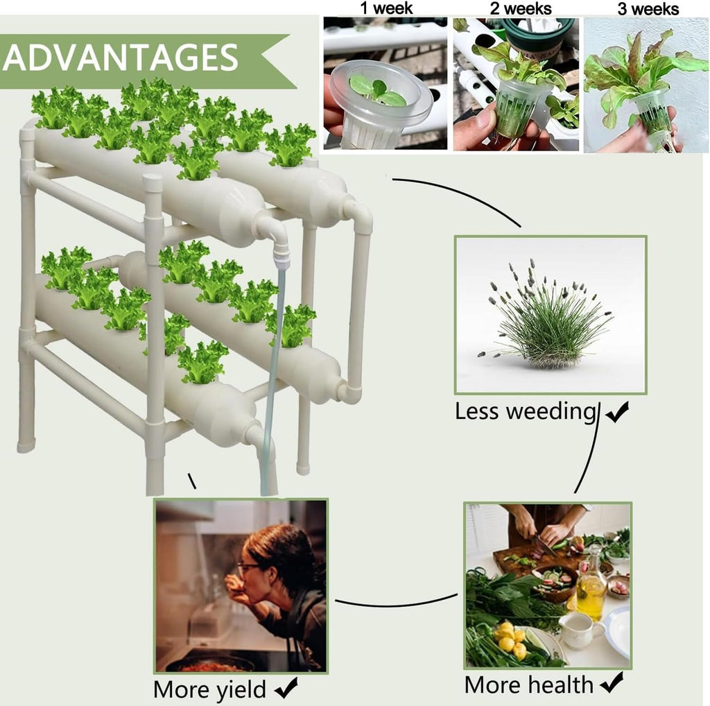 INTBUYING Hydroponic Growing System 20 Holes 4 Pipes 2 Layer Plant Site Grow Kit with 110V Pump Extra-Lage Planting