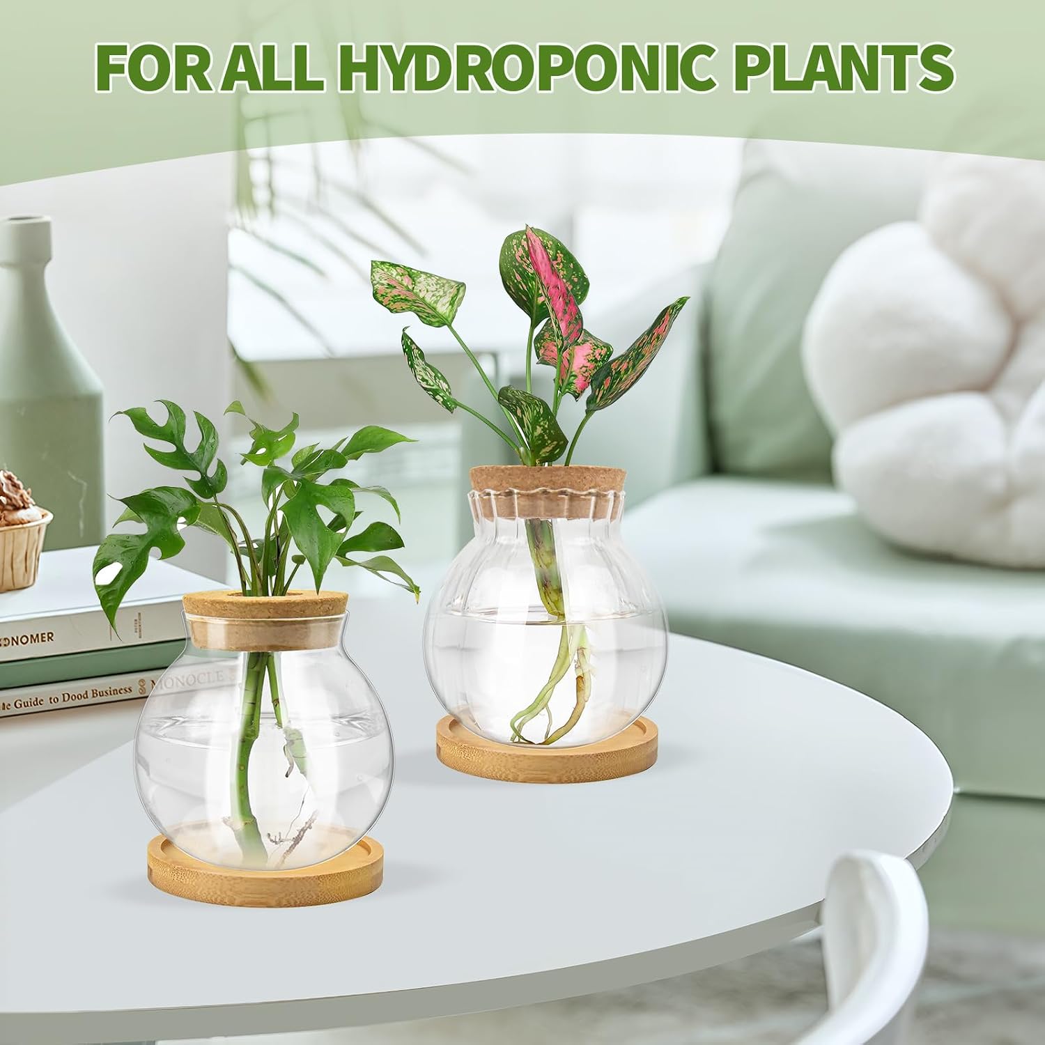 Plant Propagation Station, Water Planting for Plants with Tray & Wooden Saucer, Hydroponics Plants Jars Home Office