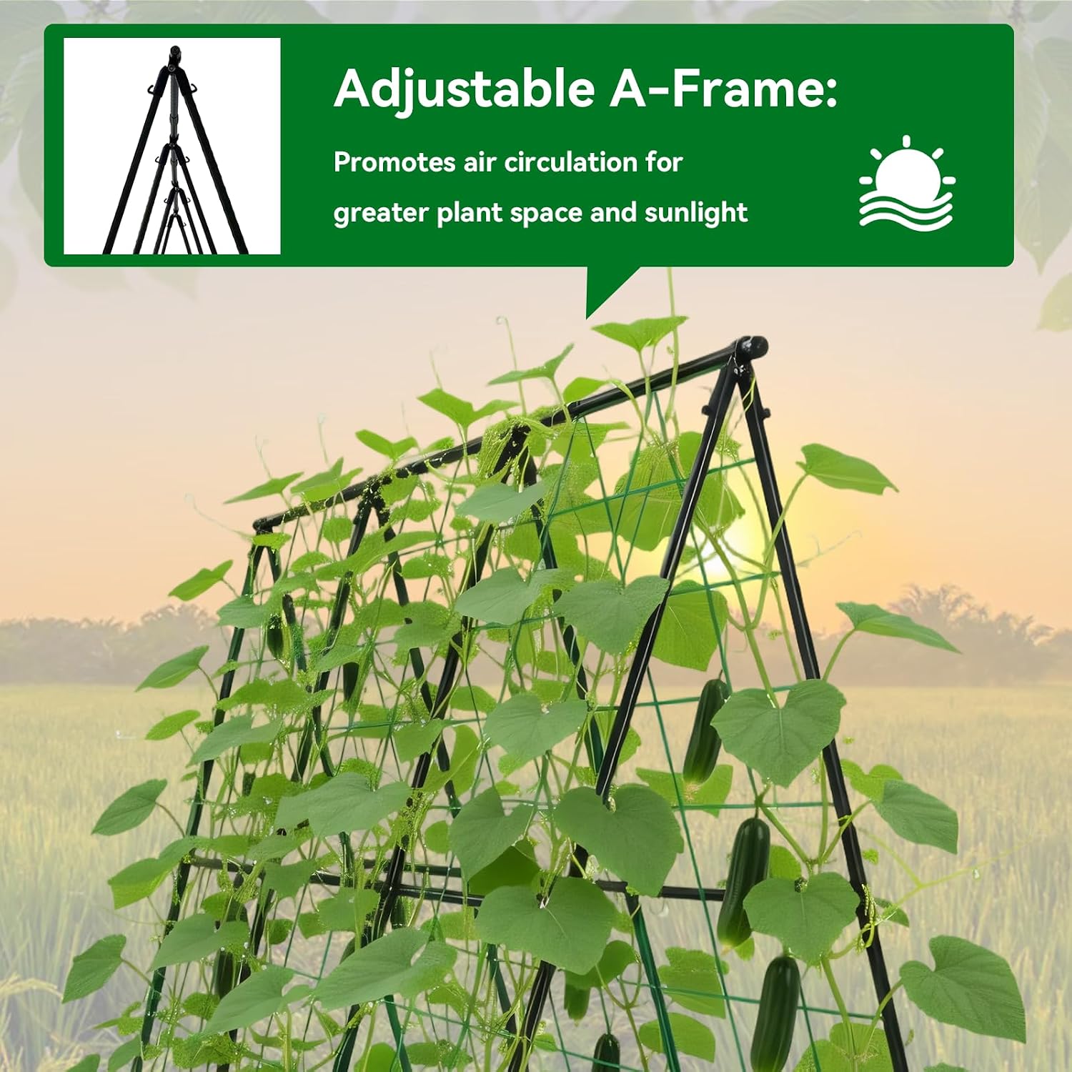 Cucumber Trellis - 49.4"*49.4" Metal Garden Trellis for Climbing Plants, Garden Trellis with Plastic-Coated Steel Pipe