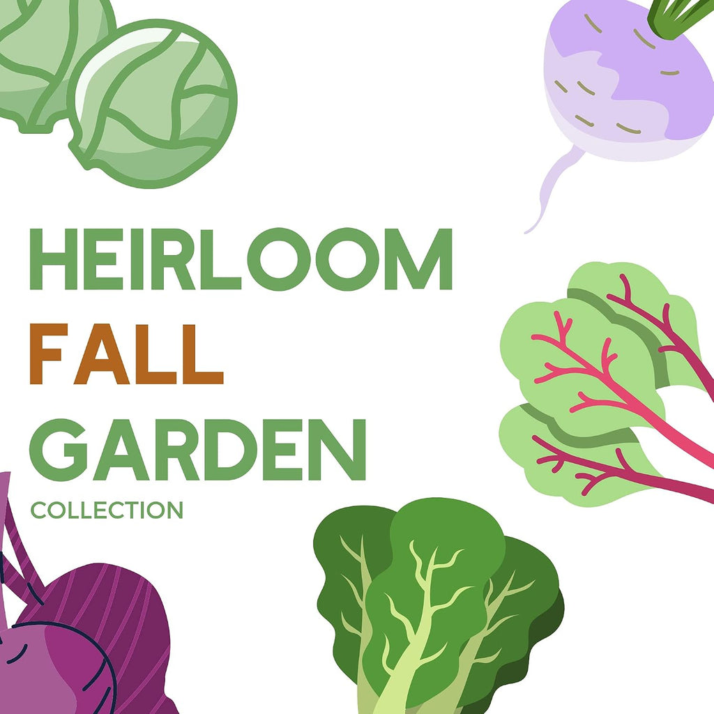 Mountain Valley Seed Co Fall Garden Heirloom Vegetable Seed ~3,800+ Seeds | 7 Varieties of Seeds to Sow in Fall Months