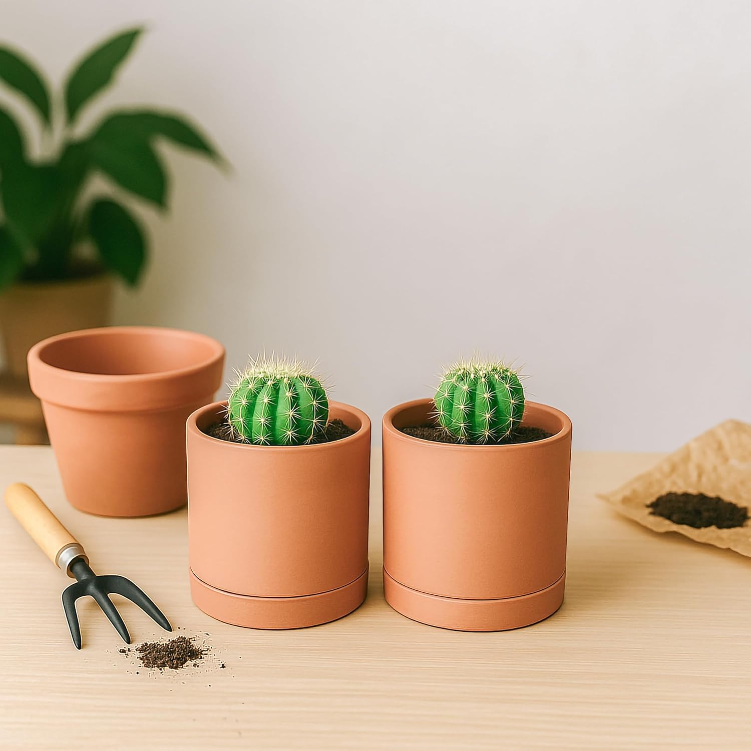 D'vine Dev 2-Pack Terracotta Plant Pots with Saucers, 4 Inch, 40-X-B-1 | Cylinder Shape, Timeless Style, Unglazed