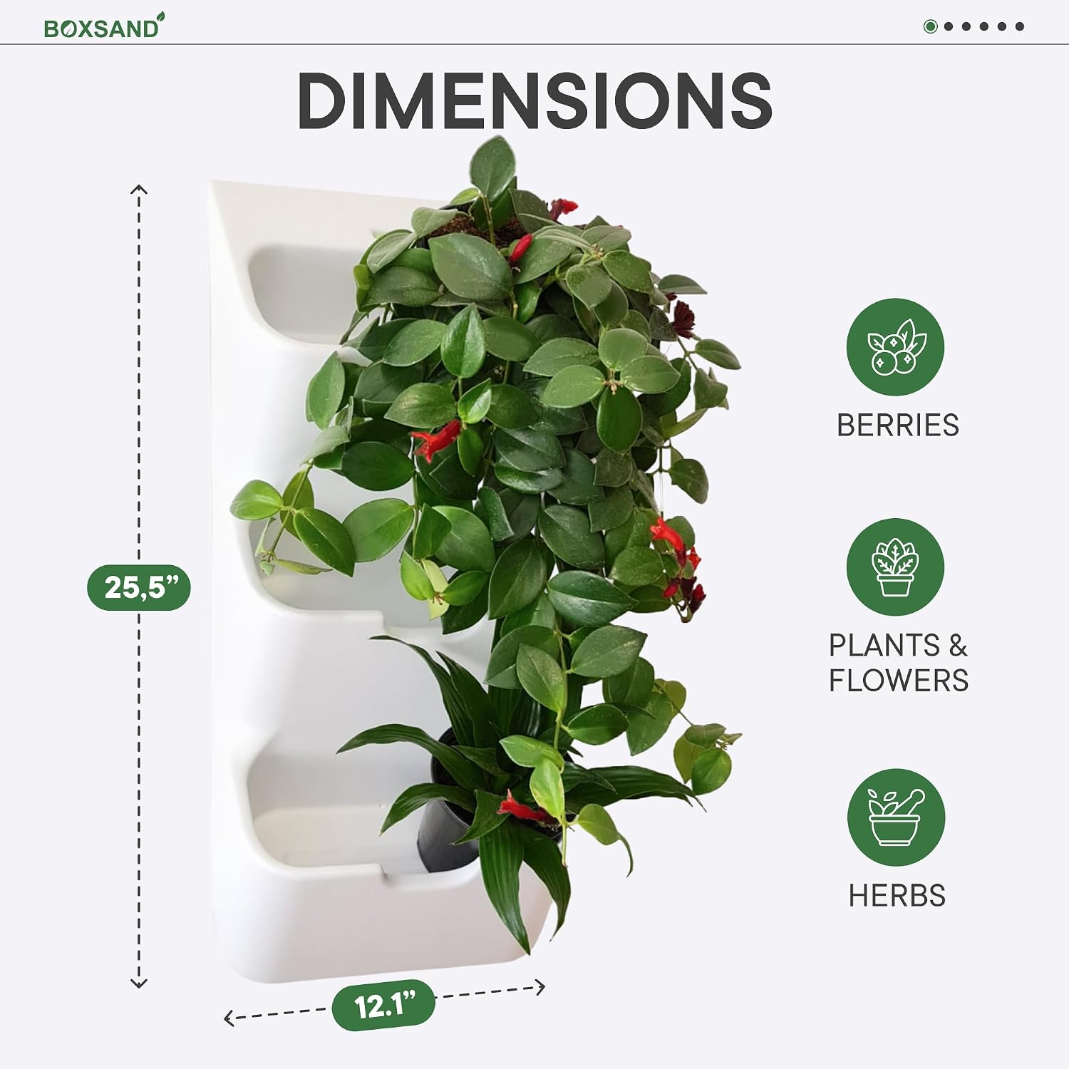 BOXSAND-6 (12"x26") Vertical Wall Planter – Living Wall for 6 Plants, Indoor/Outdoor Hanging Vertical Garden, Easy
