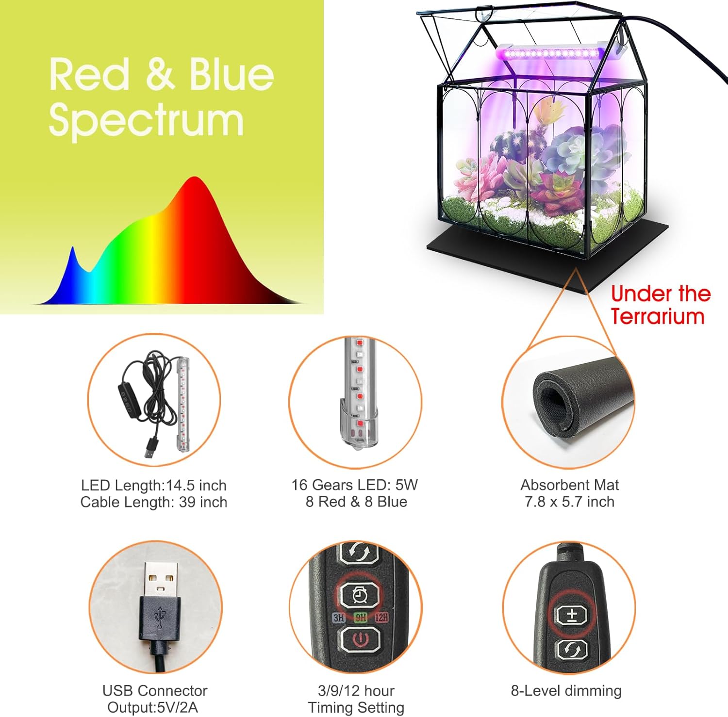 RIFNY Plant Terrarium with Grow Light, Glass Terrarium 8.9 x 5.9 x 9.9 Inch | Terrarium with LED Grow Light and