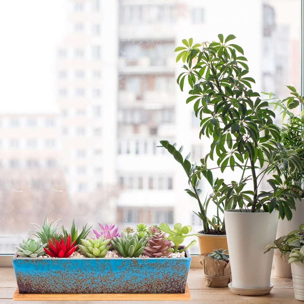 Succulent Pots - 12.1 Inch Large Succulent Planters Pots with Drainage Tray, Long Rectangle Ceramic Pot for Indoor
