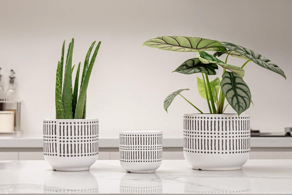 Docrin 3-Pack Ceramic Plant pots Set - 6.5"+5.3"+4" Dual-Tone Flower Pots with Drainage Holes, Modern Indoor Outdoor