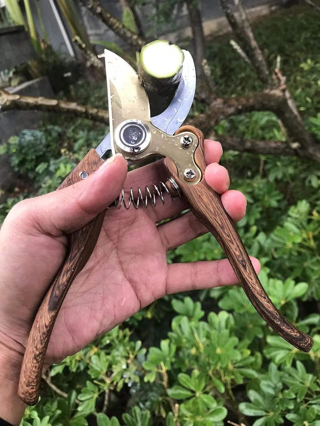 Garden Shears, Japanese Floral branch cutters, Snips for Gardening, Flower scissors Florist clippers, Hand Held Pruners