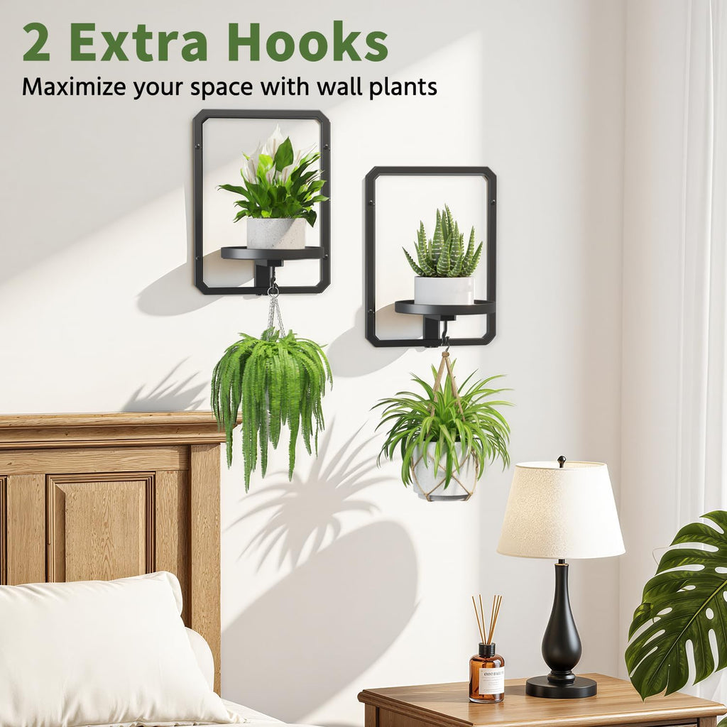 LASZOLA Plant Picture Frame Holder Shelf Wall Window Indoor, 2 Pcs Black | Modern Floating Flower Hanger Wall Mounted