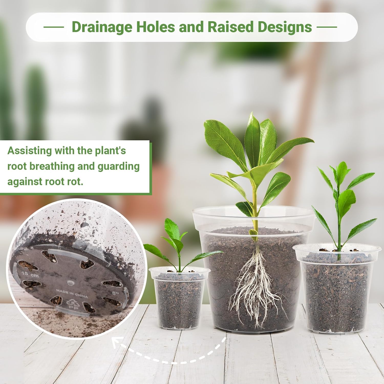 GREANER 4/5/6/7/8/9 Inch Reinforced Clear Nursery Pots, Transparent Variety Pack Plastic Nursery Pots, 30 Packs Seed