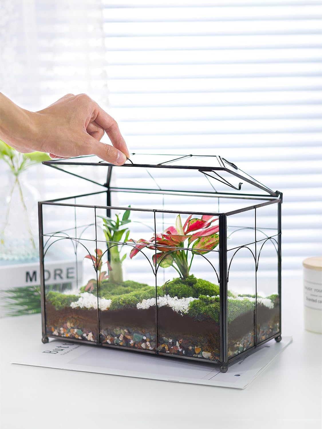 REDHUGO Glass Planter Terrarium with Lid, Indoor Display Box, Black | Handmade Glass Terrarium with Lid for Succulents