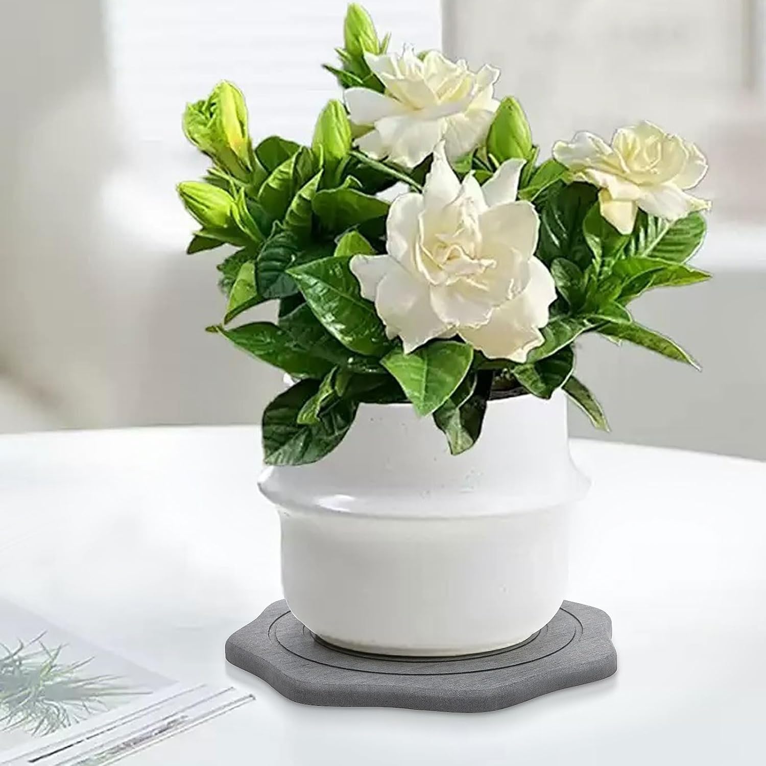 Plant Saucer for Indoors, 2 Packs 12 inch, Large Diatomaceous Earth Pot Saucers No Holes, Instant Dry Plant Drainage