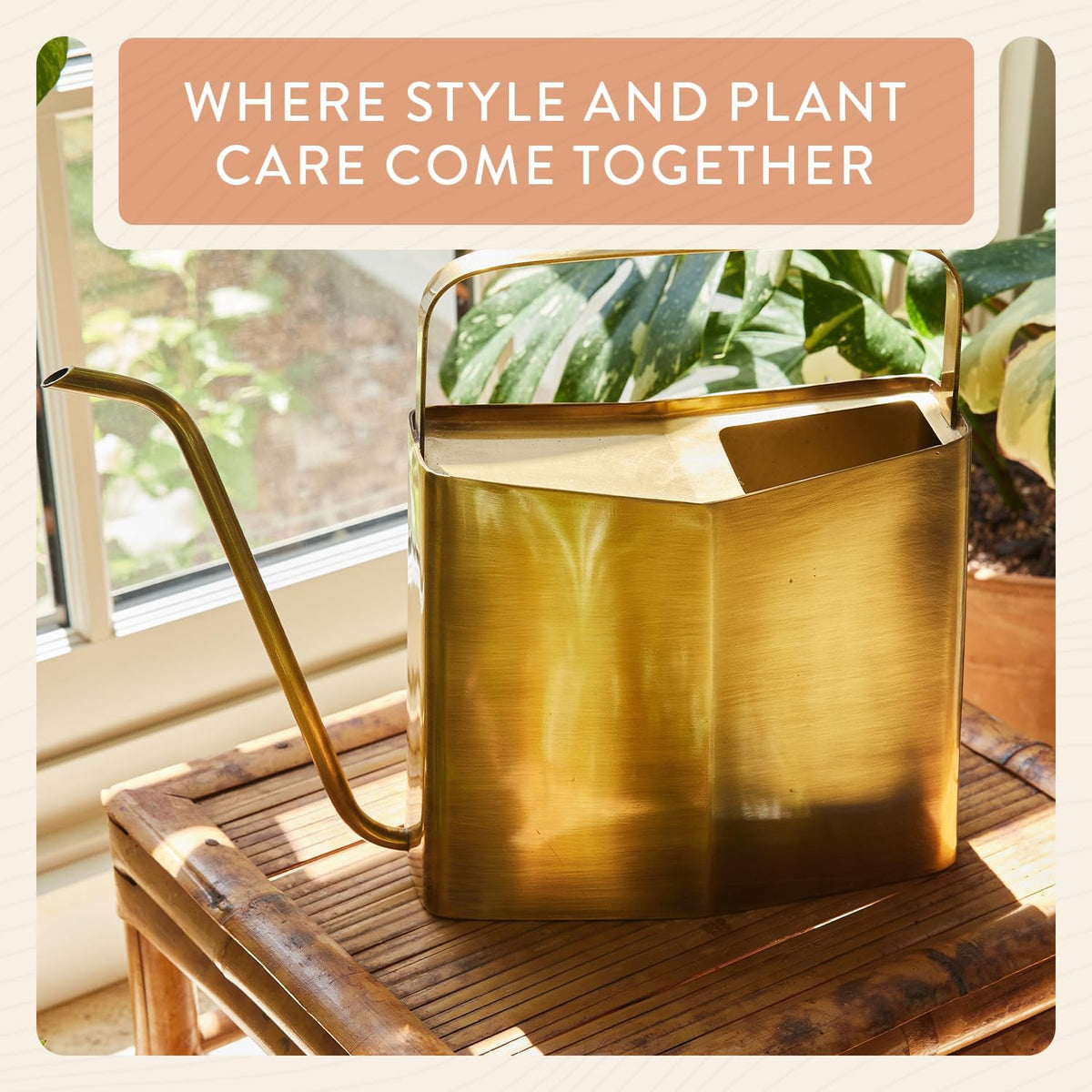 Modern Sprout Brass Plant Watering Can - 3L Stainless Steel - Long Spout | Large Rust Resistant Vessel - Ideal for