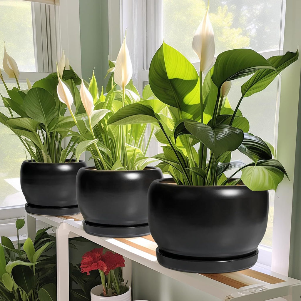 SQOWL Ceramic Plant Pots - 8 Inch Planter Indoor, Round Flower Pot with Drainage Hole and Saucer, Modern Outdoor