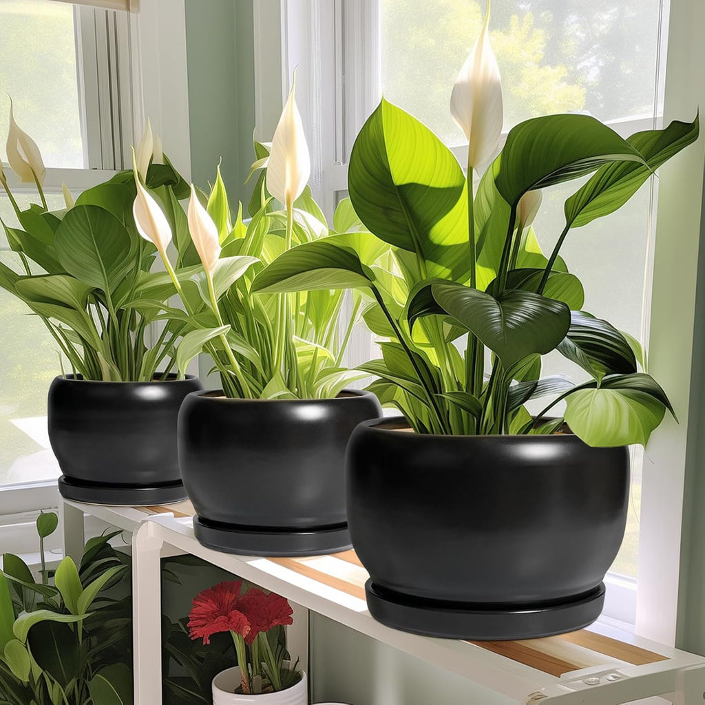 SQOWL Ceramic Plant Pot - 6 Inch Planter for Indoor Plants, Round Flower Pot with Drainage Hole and Saucer, Modern