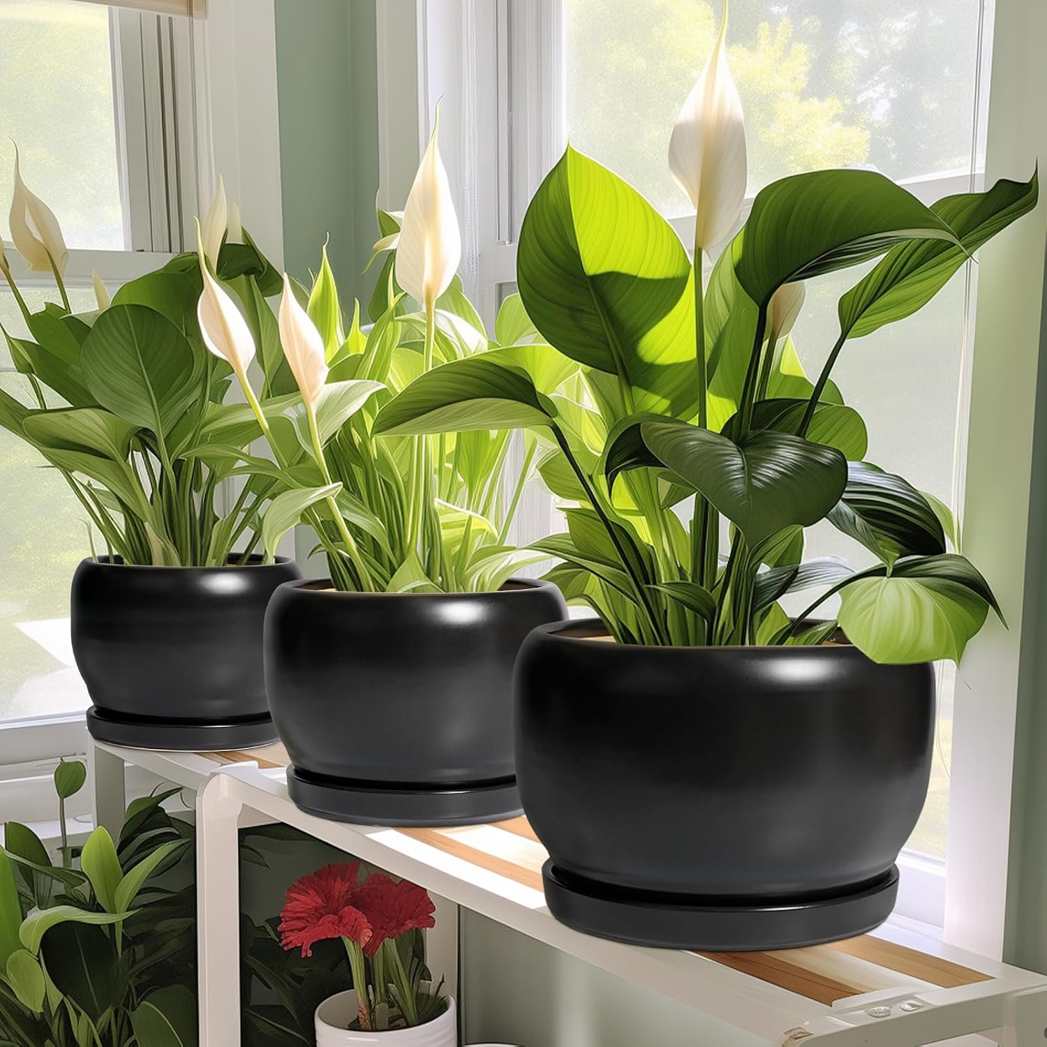 SQOWL Ceramic Plant Pot - 6 Inch Planter for Indoor Plants, Round Flower Pot with Drainage Hole and Saucer, Modern