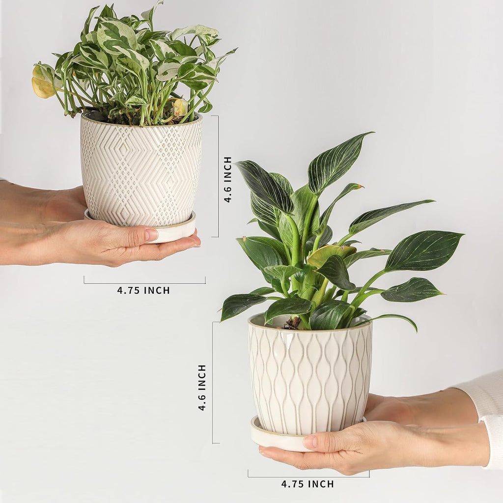 Nihow Ceramic Plant Pots with Drainage Hole & Saucer, 4.75 Inch, White-3 | Small,Embossed Design, For Succulent