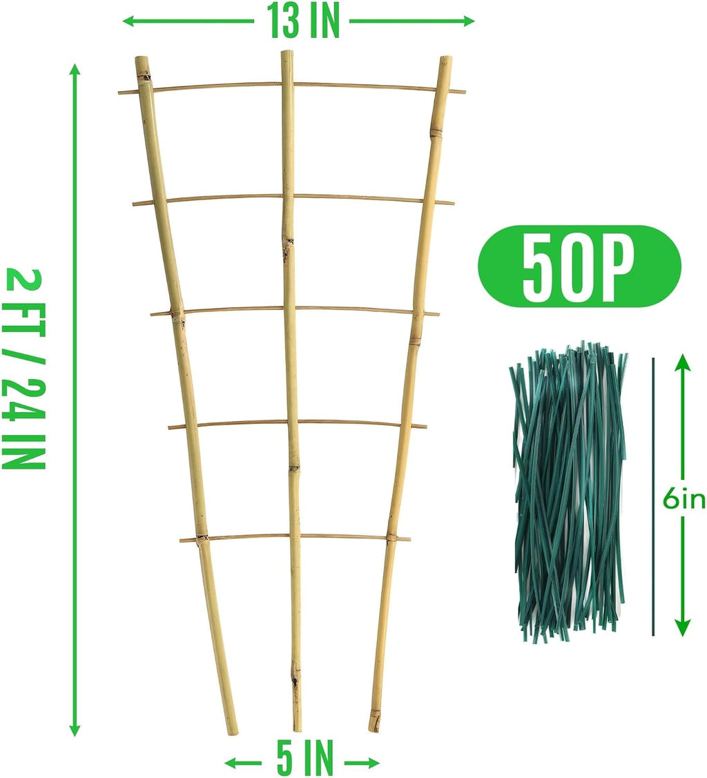 SWANGSA 6 Pack Bamboo Trellis 24 Inches for Climbing Plants, Fan-Shaped Bamboo Plant Trellis Cucumber Tomato Trellis