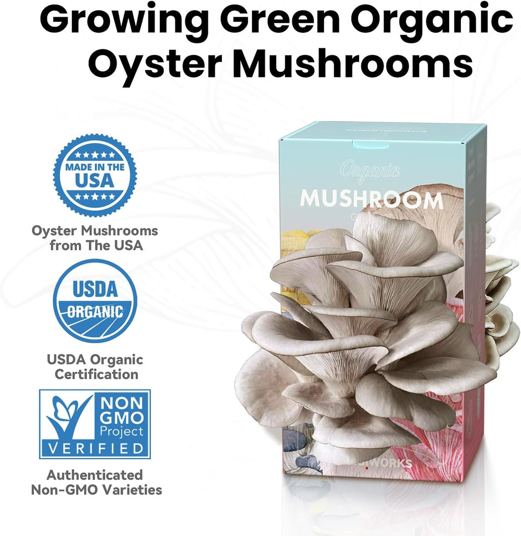 Organic Edible 4lbs Oyster Mushroom Growing Kit, Made in USA, Double-Side Mushroom Grow Kit Indoor, Harvest Gourmet
