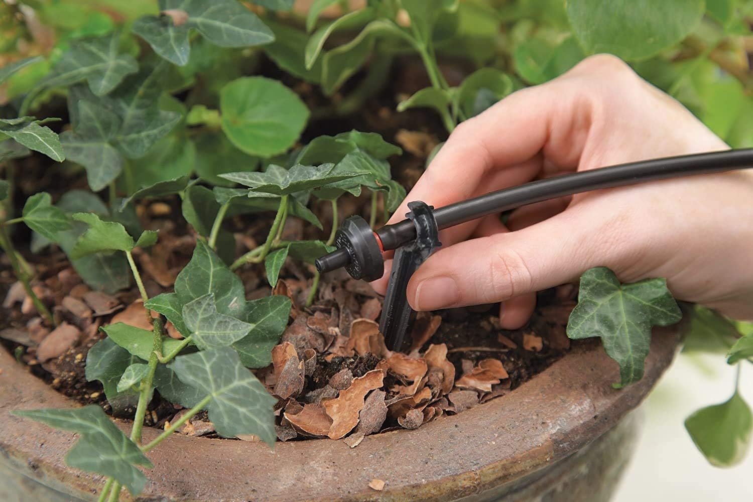 Raindrip R560DP Drip Watering System, Automatic Drip Irrigation System with Timer for Containers and Hanging Baskets