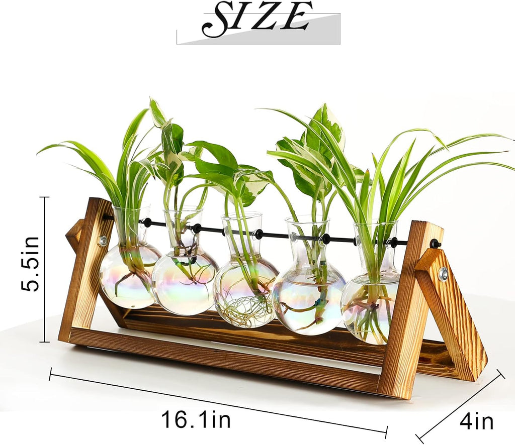 XXXFLOWER Plant Terrarium with Wooden Stand Desk Plant 5 Bulb Vase | Terrarium Kit Glass Propagation Vases Tabletop