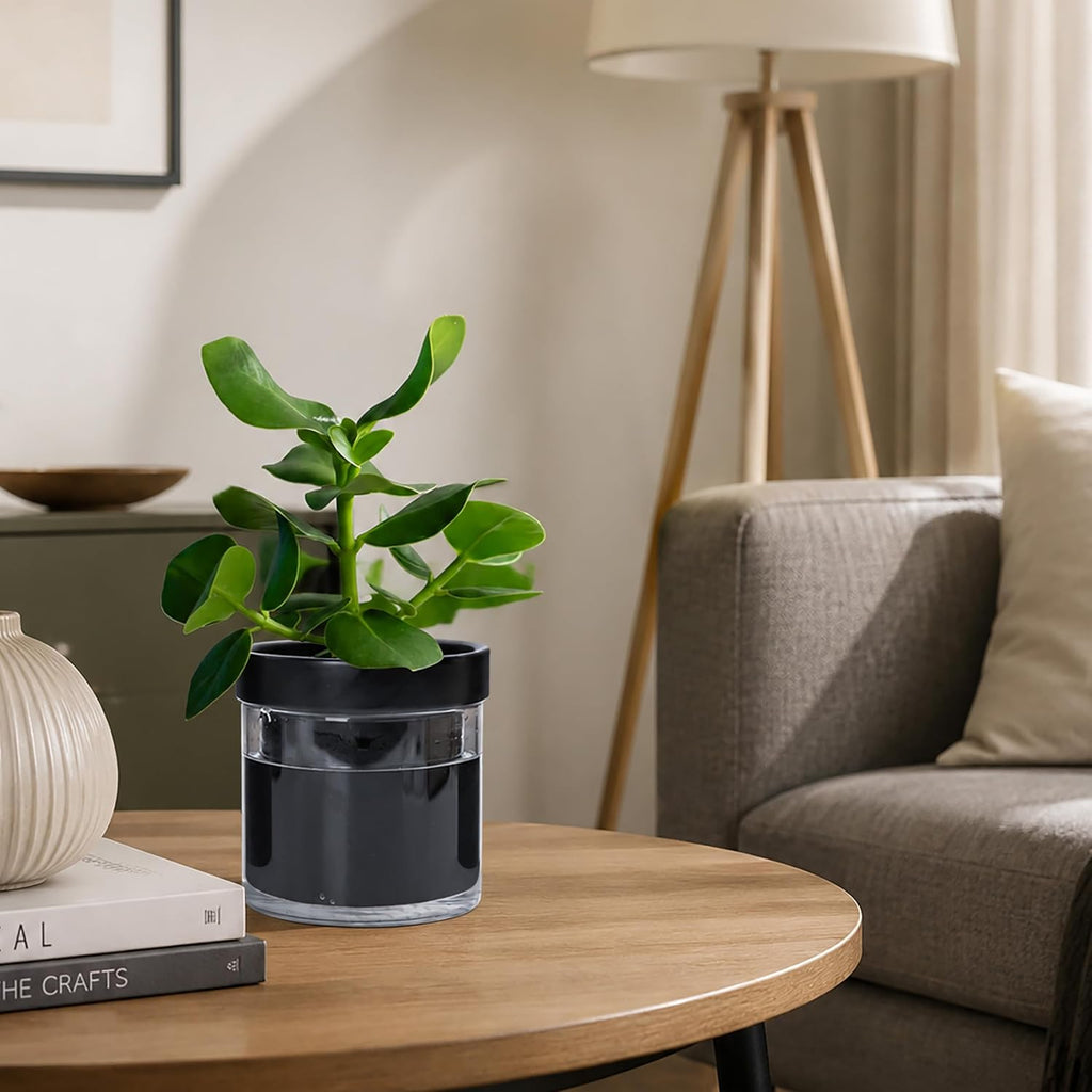 Phoenix Vine 4 Inch Self Watering Planter Pot, Black Terracotta Clay Pot with Glass Reservoir for Indoor Plants, Herbs