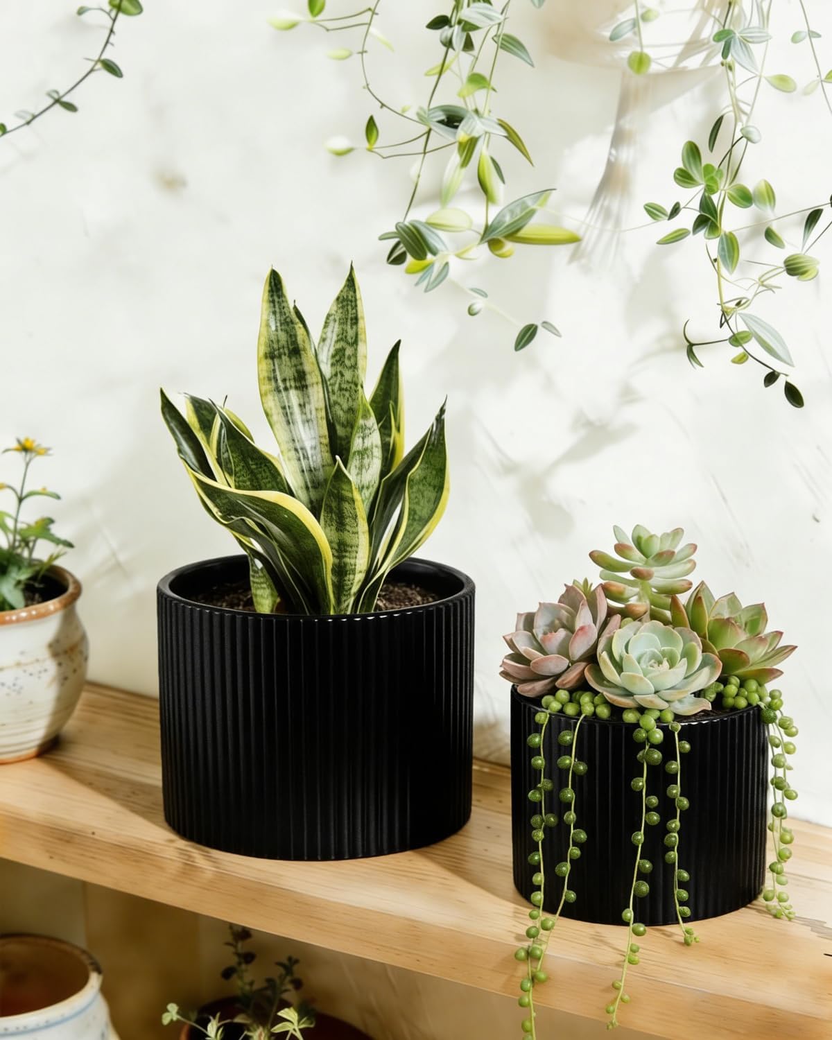 Matte Black Ceramic Plant Pots, 8.1 + 6 Inch Planters for Indoor Plants, Modern Flower Pots with Drainage, Two-Sizes Set