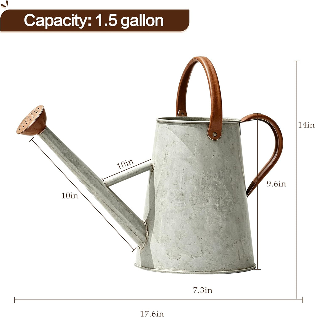 1.5 Gallon Metal Watering Can for Outdoor Plants, Watering Can, Cream Zinc | 5.7L Watering Can with Removable Spout and