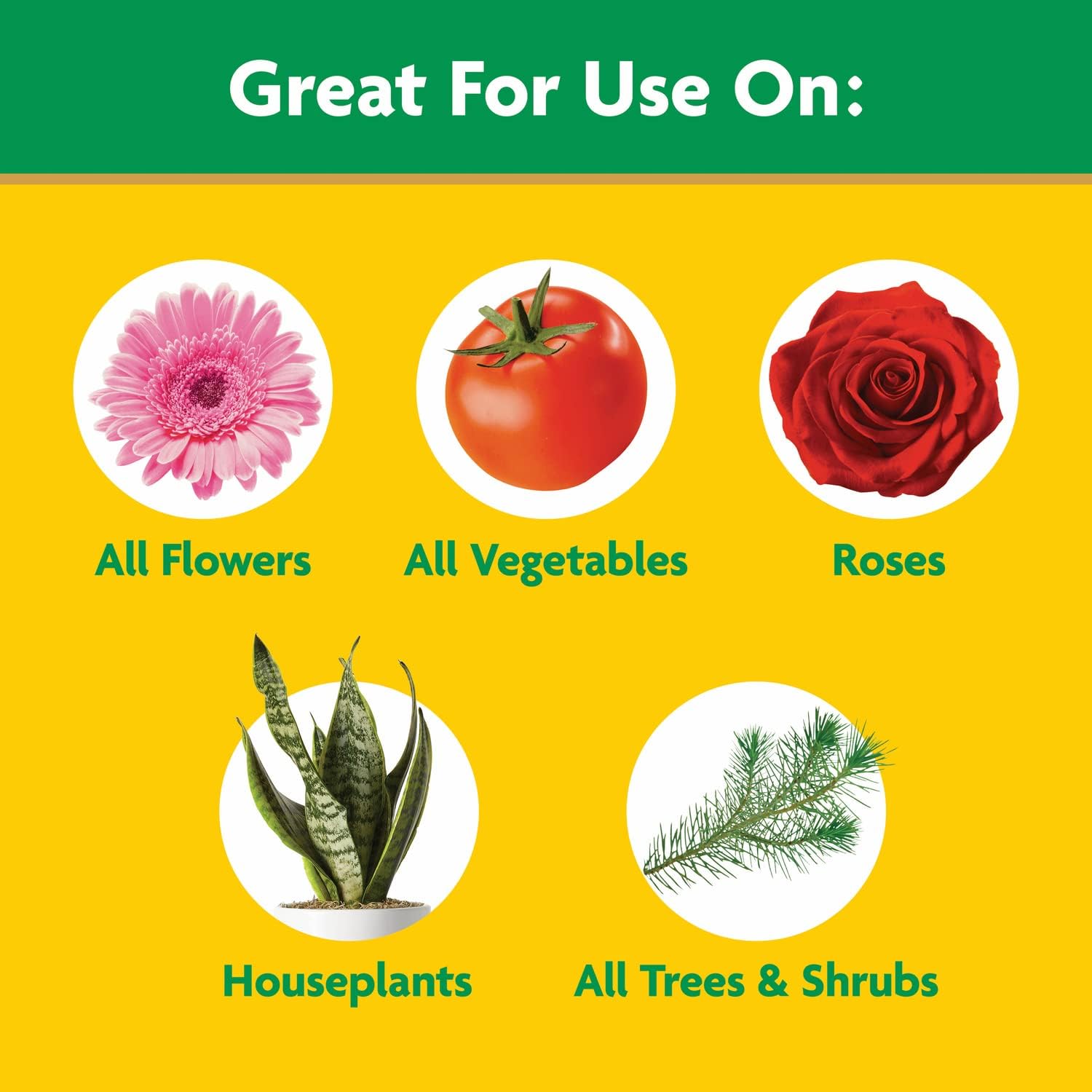 Gro Water Soluble All Purpose Plant Food, 10 lb. | Fertilizer For All Indoor or Outdoor Plants including Roses