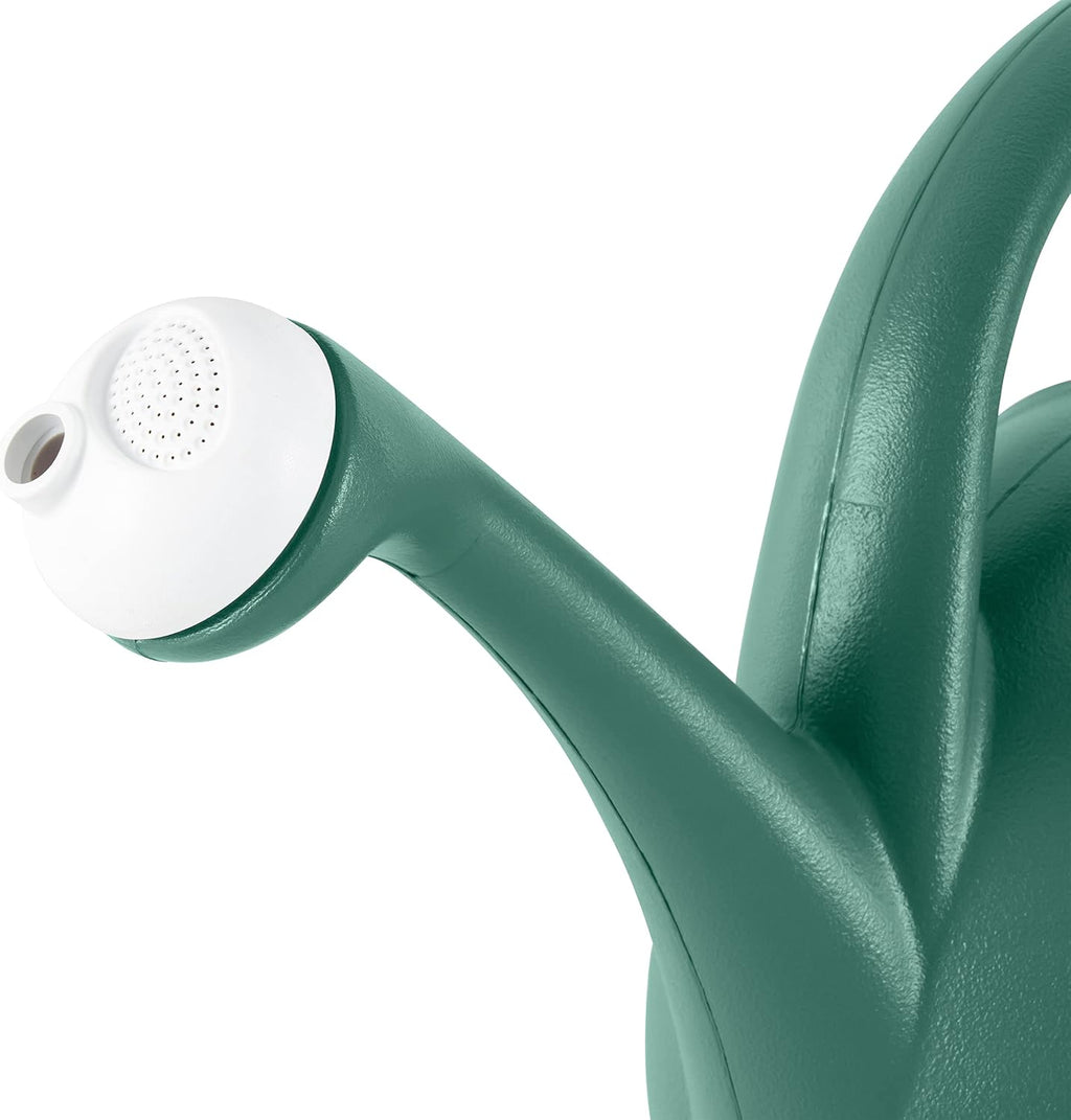 2-Gallon Premium Plastic Rosette Watering Can - The HC Companies 11"x21"x13.75" in Evergreen Color