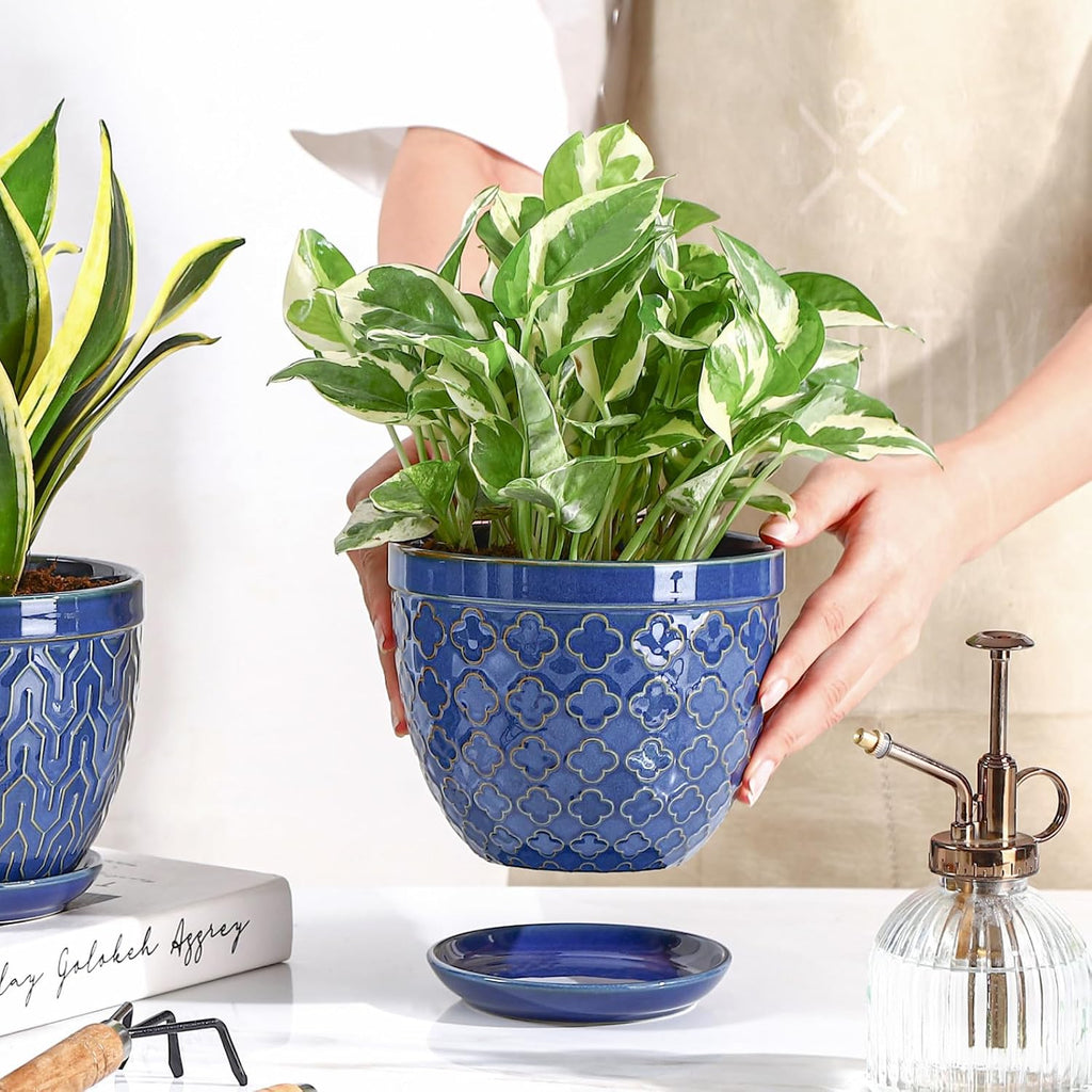 Sureasy Ceramic Indoor Plant Pots - 5.6 Inch Flower Pots for Plants with Drainage Hole and Saucer, Embossed Planter for