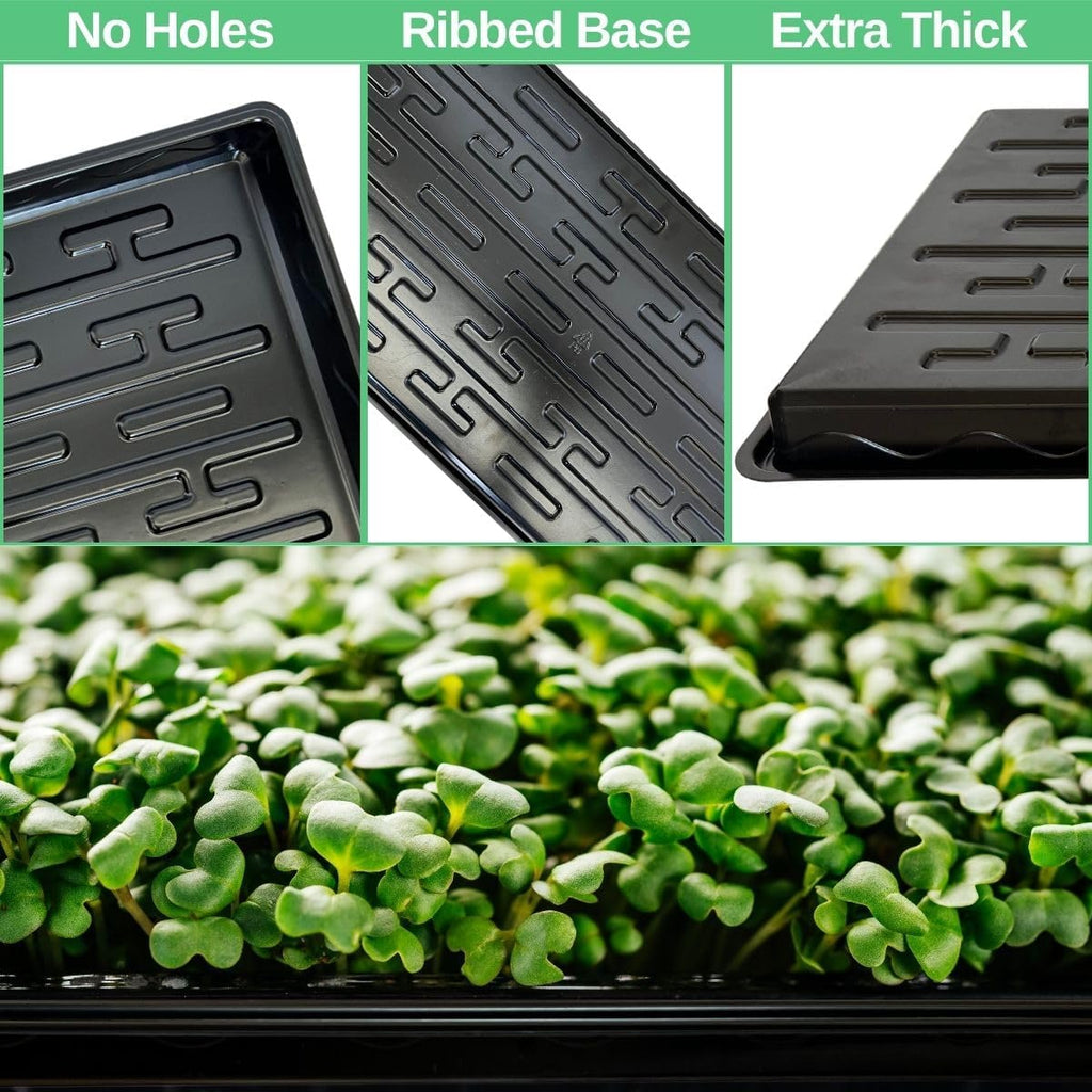 Shallow 1020 Nursery Flat Trays -10 Pack, 1.8" Height, Specialized for Holding 72-Cell Plug Seedling Trays, No Holes
