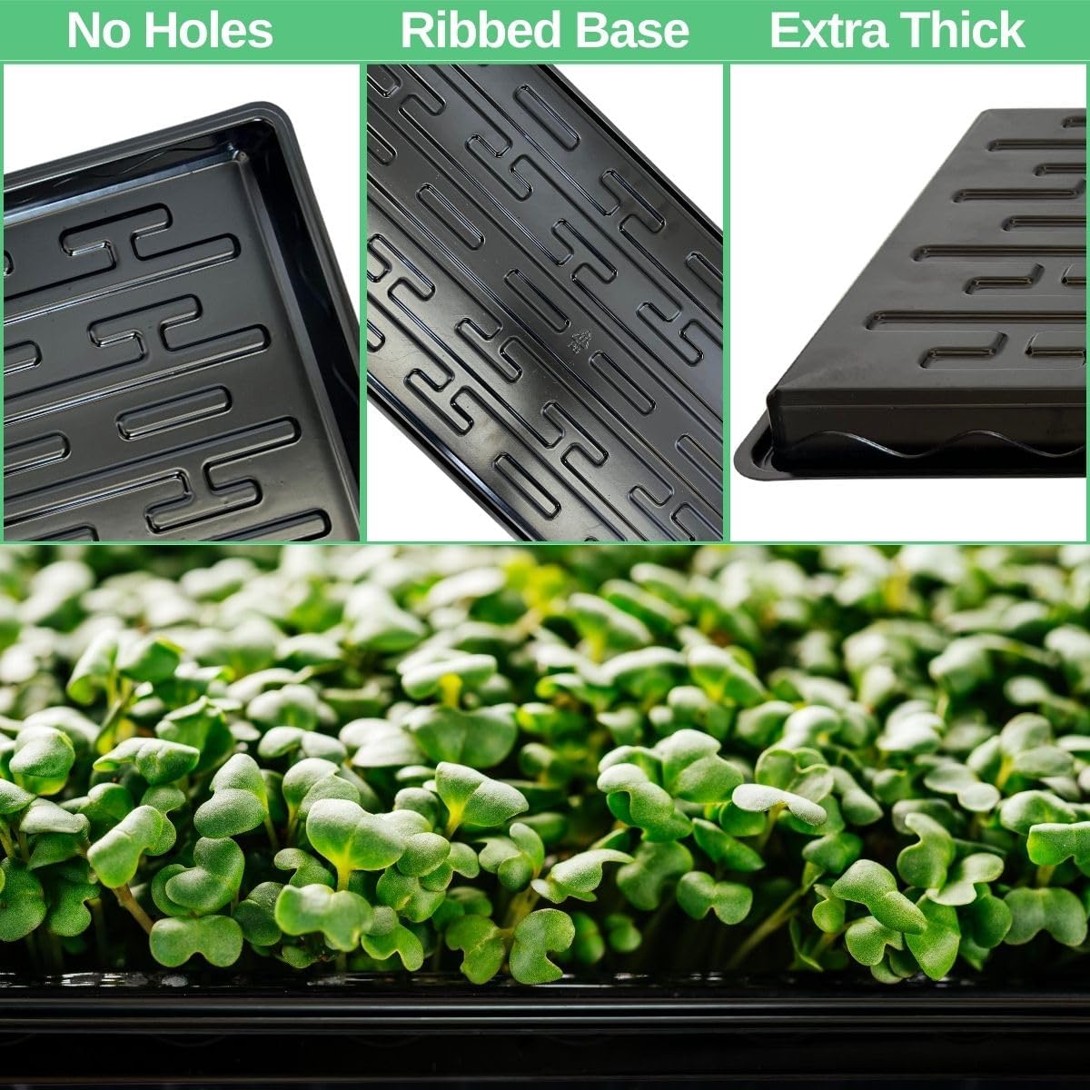 1020 Tray Shallow 10" x 20" Nursery Flat Trays No Holes 1.4" Height, Holding 72-Cell Plug Seedling Trays, Ideal for