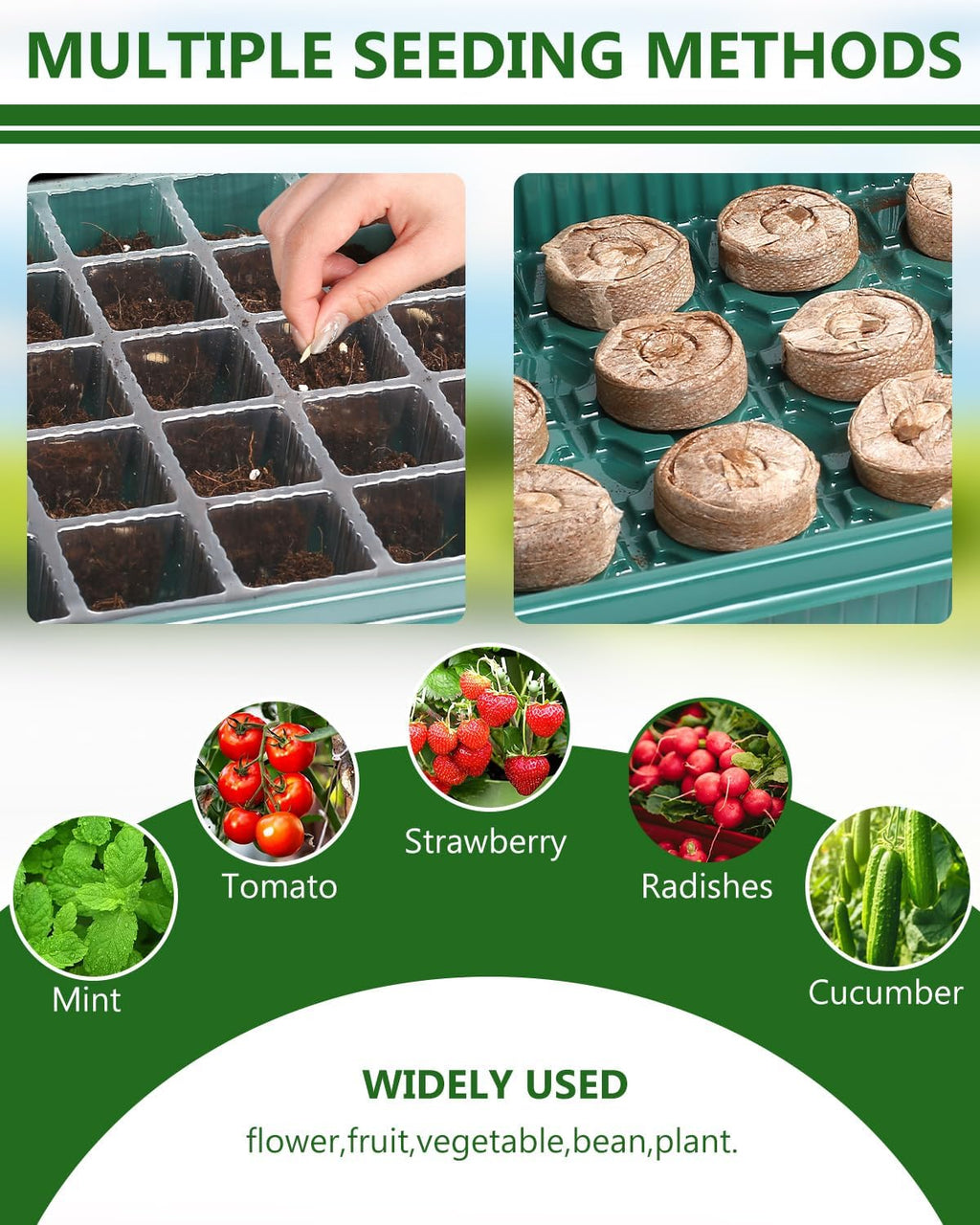 40 Cell Seed Starter Kit with Grow Light and Heating Mat | Graphene Heating Mat, Reusable Seed Starter Tray, 4.7"