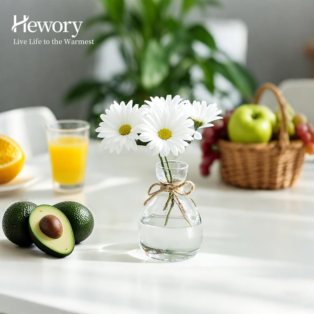 Hewory Avocado Seed Starter Vase: 3Pcs Glass Avocado Planter for Growing | Acorn Pit Sprouting Vases, Tree Pots