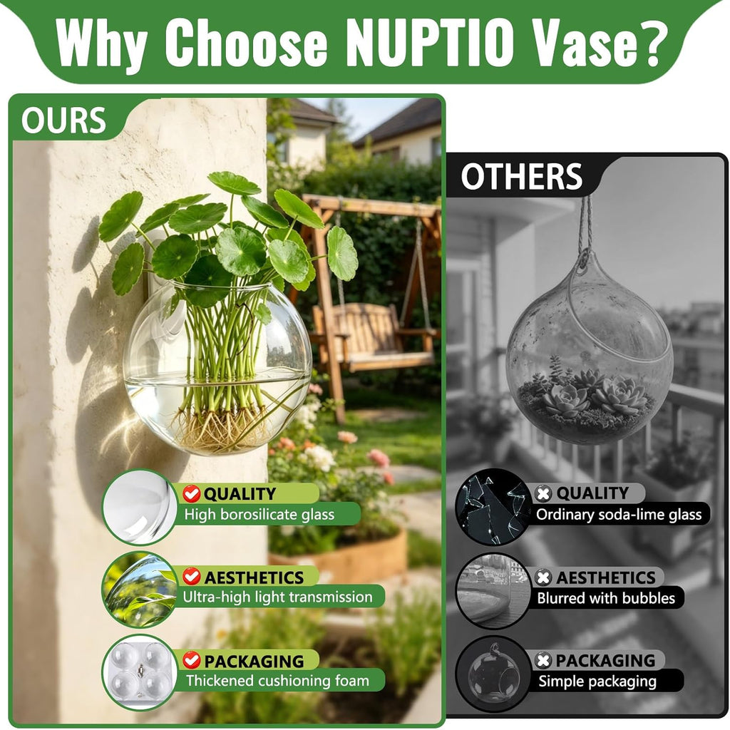 NUPTIO Glass Wall Hanging Planters: Propagation Station for Plants, 4 Pcs | Wall Mount Clear Vase, Terrarium for