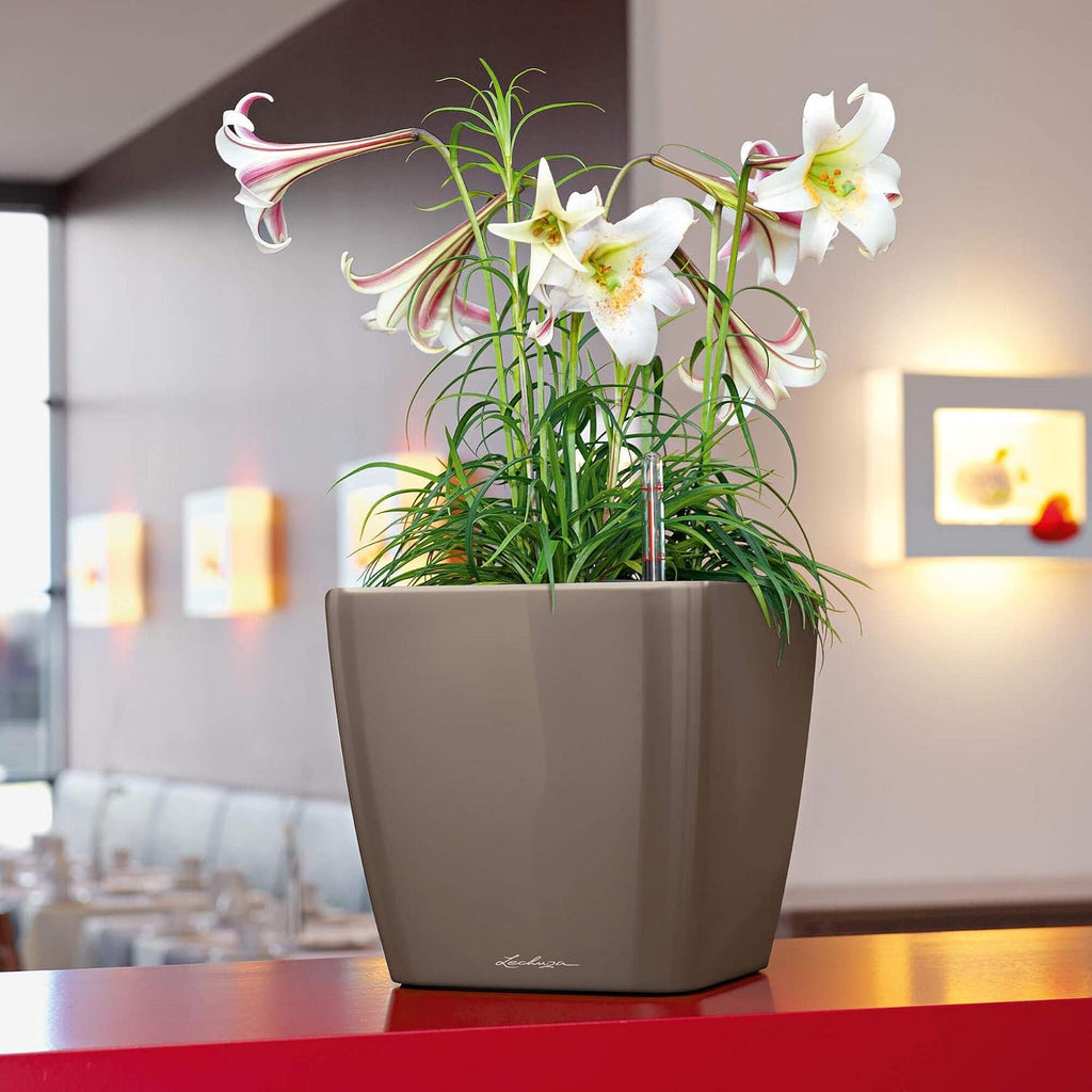 Lechuza Quadro LS 35 Cream White High Gloss, Self-Watering Square Planter, H13 L13.8 W13.8 in
