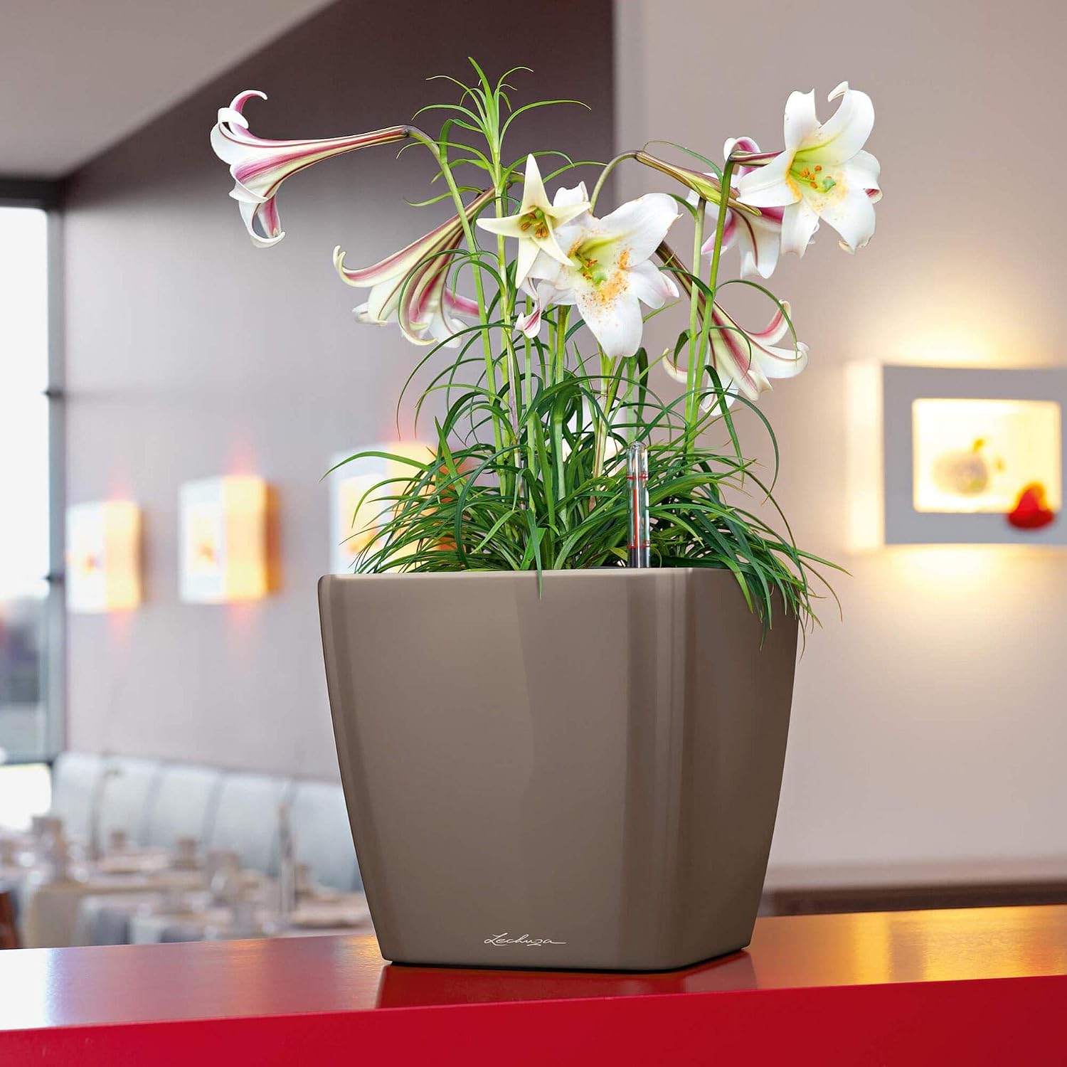 Lechuza Quadro LS 35 Cream White High Gloss, Self-Watering Square Planter, H13 L13.8 W13.8 in