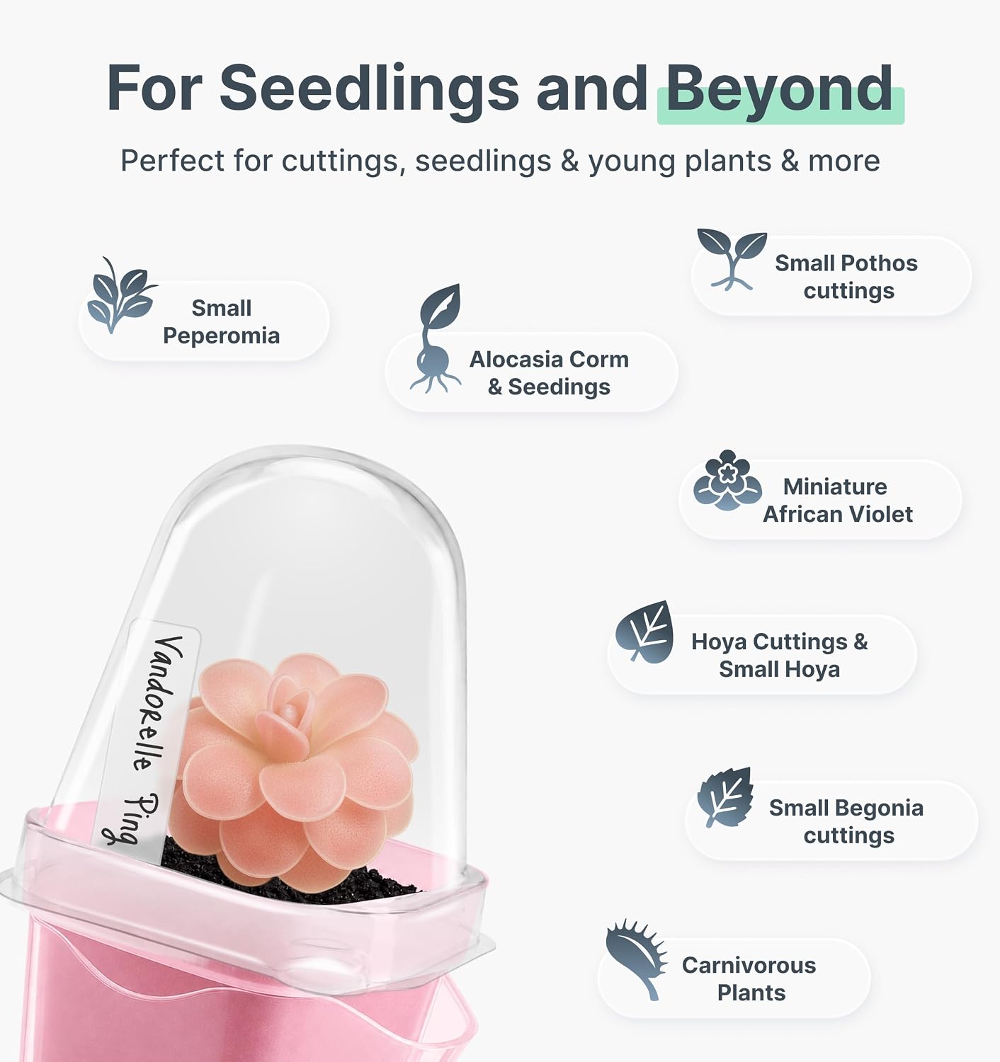 12 Pack 2" Small Pink Self Watering Pots with Humidity Dome for Indoor Plants,Clear Seed Starter Cup,Tissue Culture