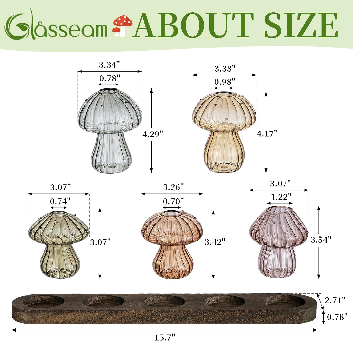 Glasseam 5 Pcs Mushroom Propagation Station: Glass Terrarium Jar for Plants | With Wood Stand, Fall Colored, Handmade