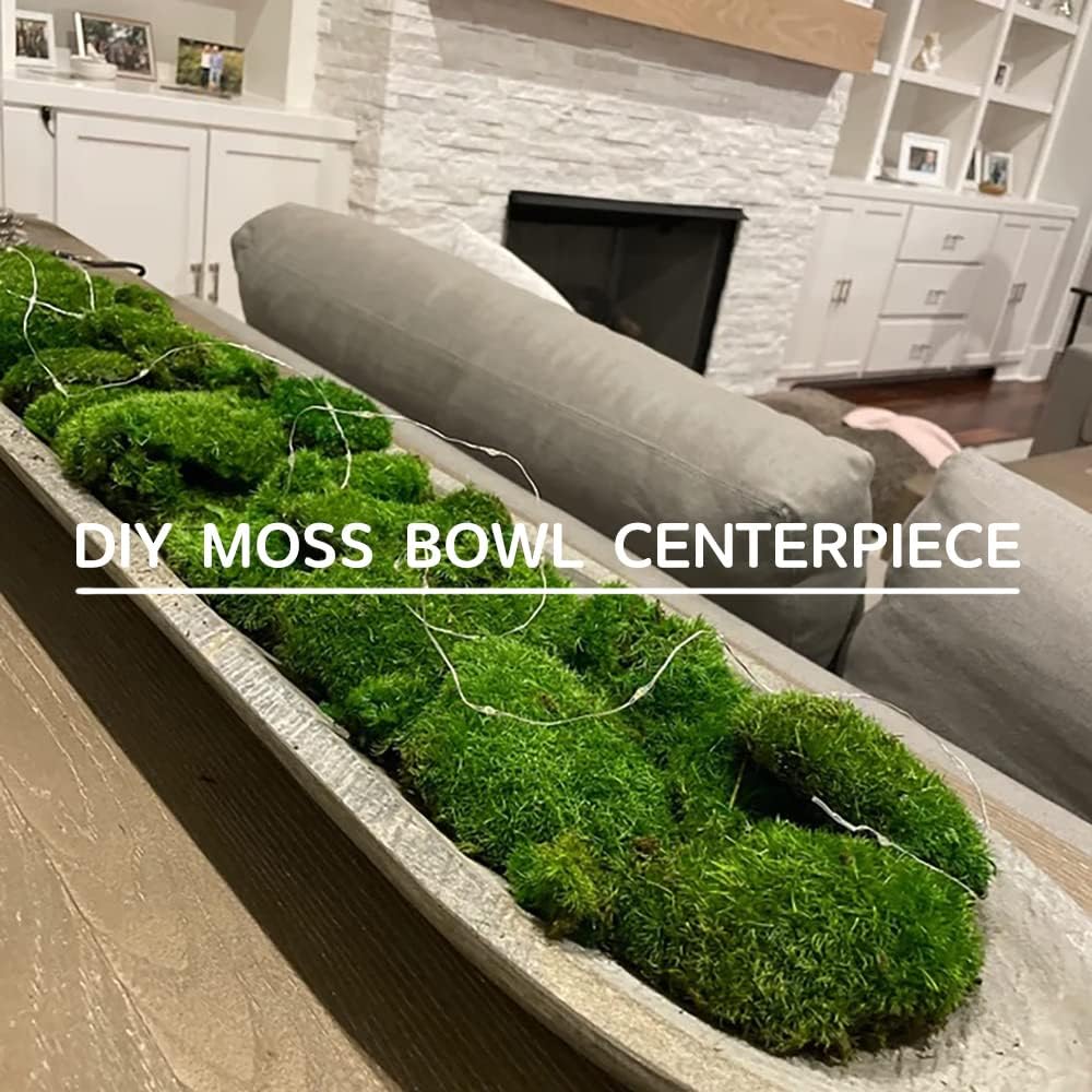 Preserved Pole Moss Pillow Bun Cushion Natural Green Decorative Real Natural Green DIY Kit Terrariums Gardenning Art