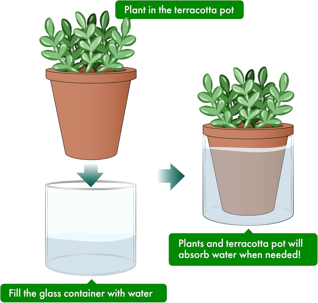D'vine Dev Self Watering Terracotta Planter Pot, 4 in, 4-Pack, 37-Z-A-1-F | Terracotta & Glass Design, Clear Water