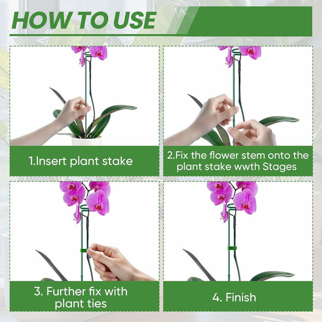 Plant Support Stakes 6 Pack, 12/24/36 Inch Heavy Duty Metal Plant Stakes, Adjustable Garden Plant Support Cages/Rings